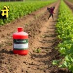 Harmful chemicals in food