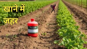 Harmful chemicals in food