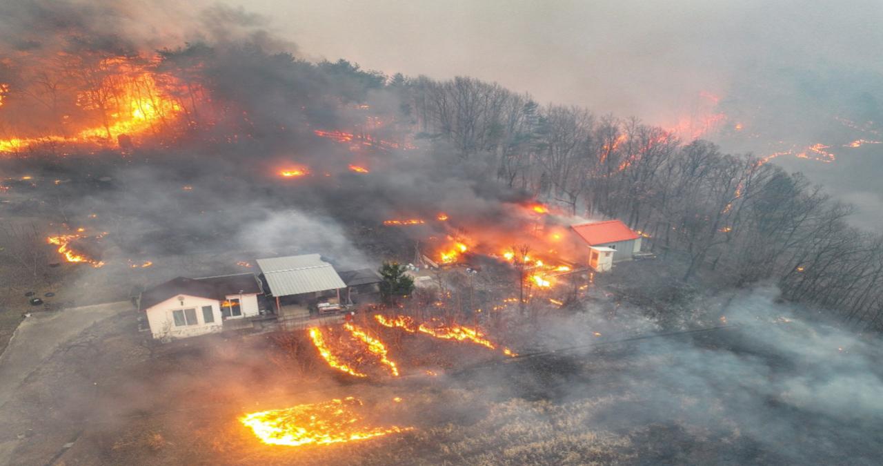 South Korea wildfire​ in hindi