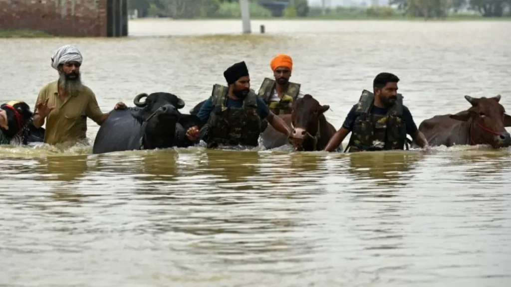 Climate change in india