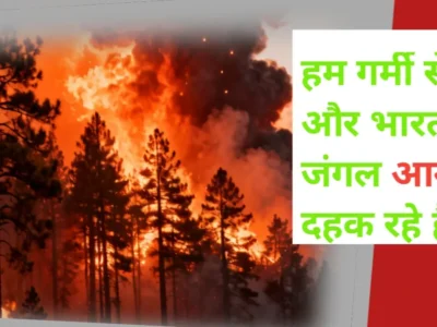 Uttarakhand Forest Fire