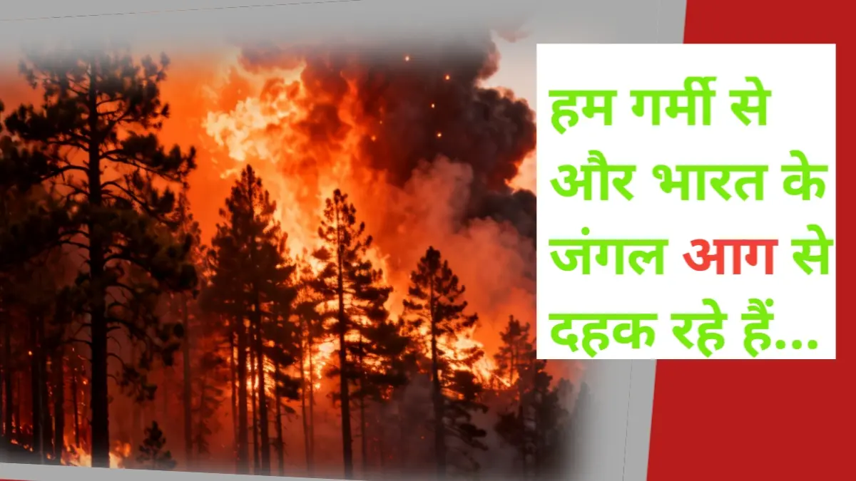 Uttarakhand Forest Fire